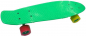 Preview: JUICY SUSI  Skateboard  SHADY LADY 22.5 green