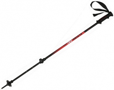 WITEBLAZE Junior Ski Stöcke  Alpin Pro Vario 70-110