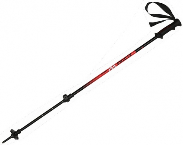 WITEBLAZE Junior Ski Stöcke  Alpin Pro Vario 70-110