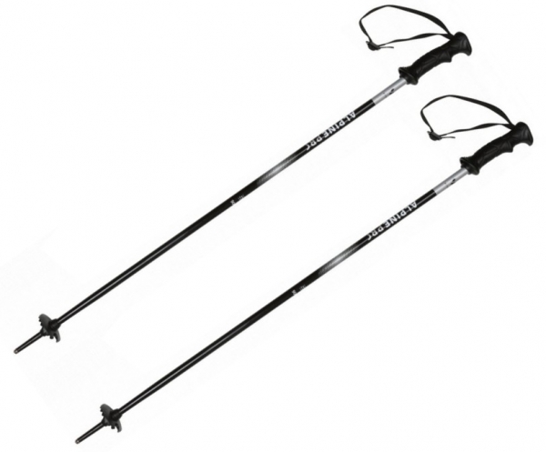 WITEBLAZE Junior Ski Stöcke  Alpin PRC black silver