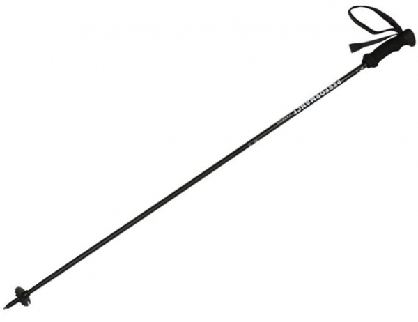 WITEBLAZE Ski Stöcke PERFORMANCE glass carbon